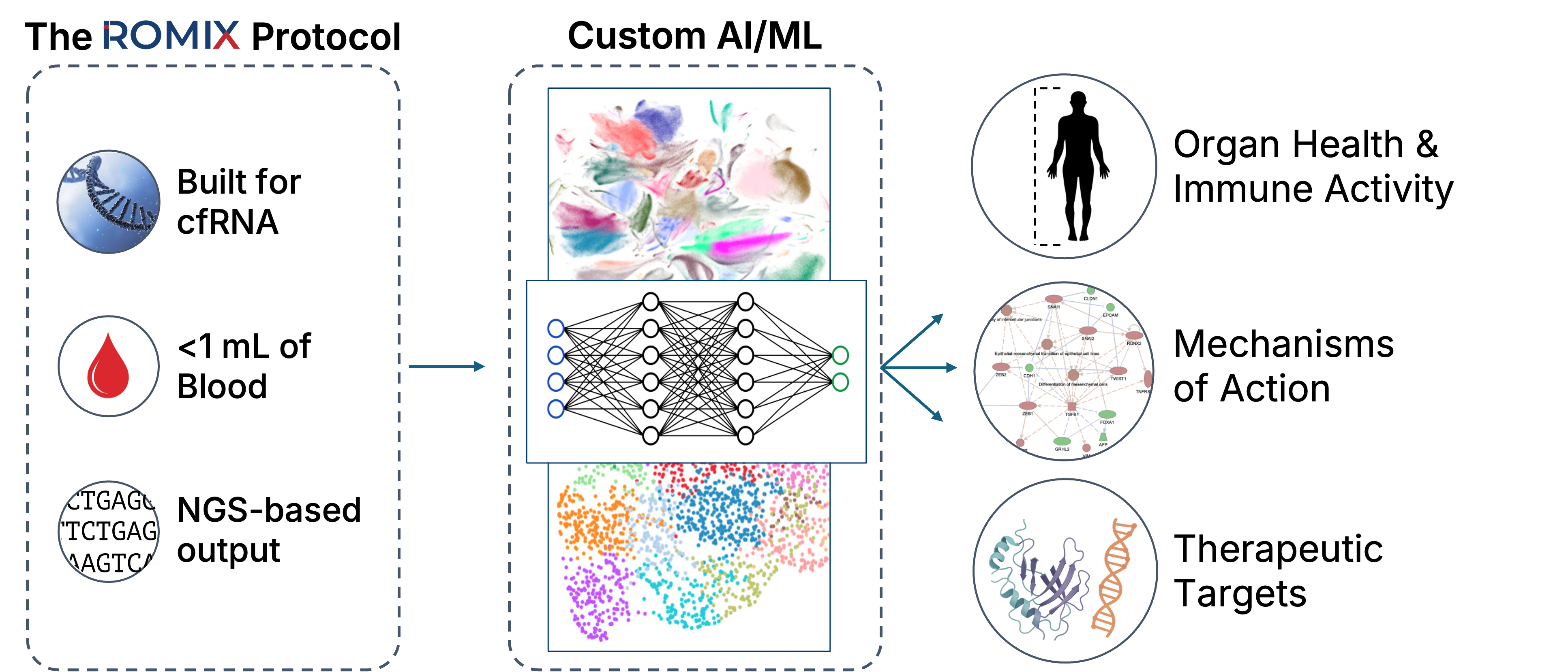 ROMIX Platform Technology